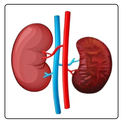 Polycystic Kidney Disease
