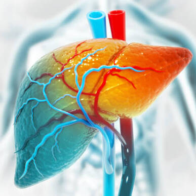 Kidney Cysts